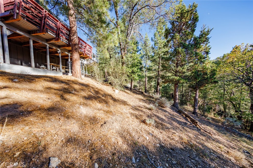 594 Villa Grove Property Photo 56