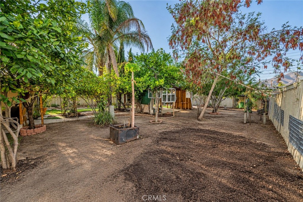27150 Cypress Property Photo 43