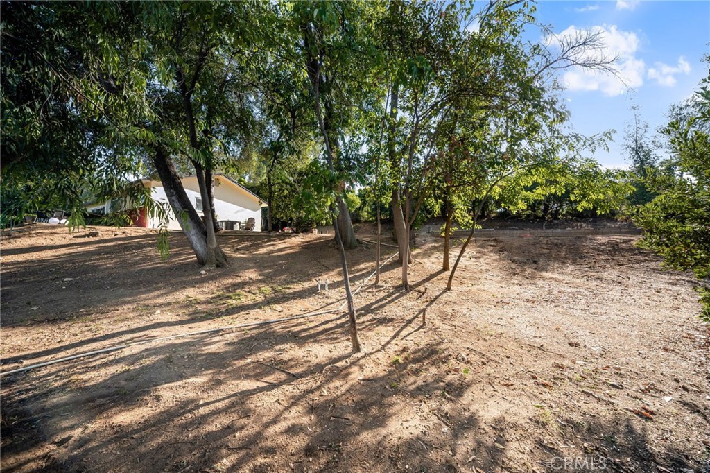 30993 Palo Alto Drive Property Photo 34