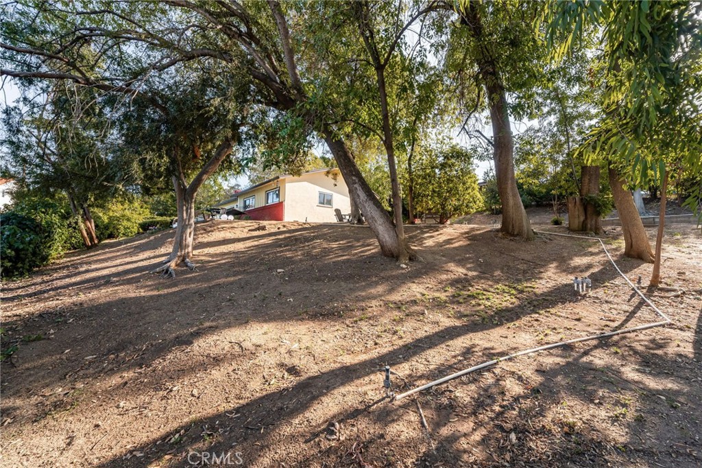 30993 Palo Alto Drive Property Photo 35