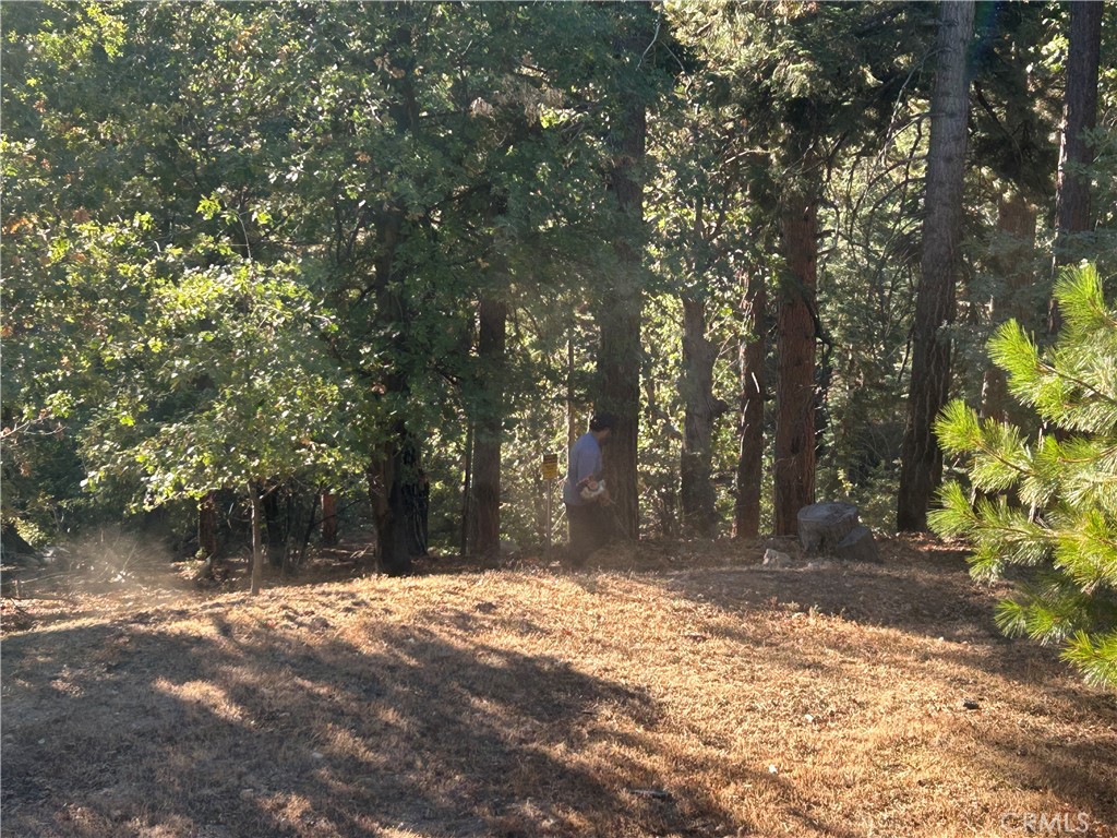 2335 Deep Creek Property Photo 1
