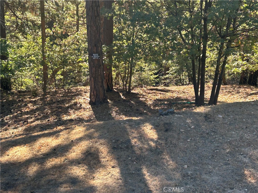 2335 Deep Creek Property Photo 2