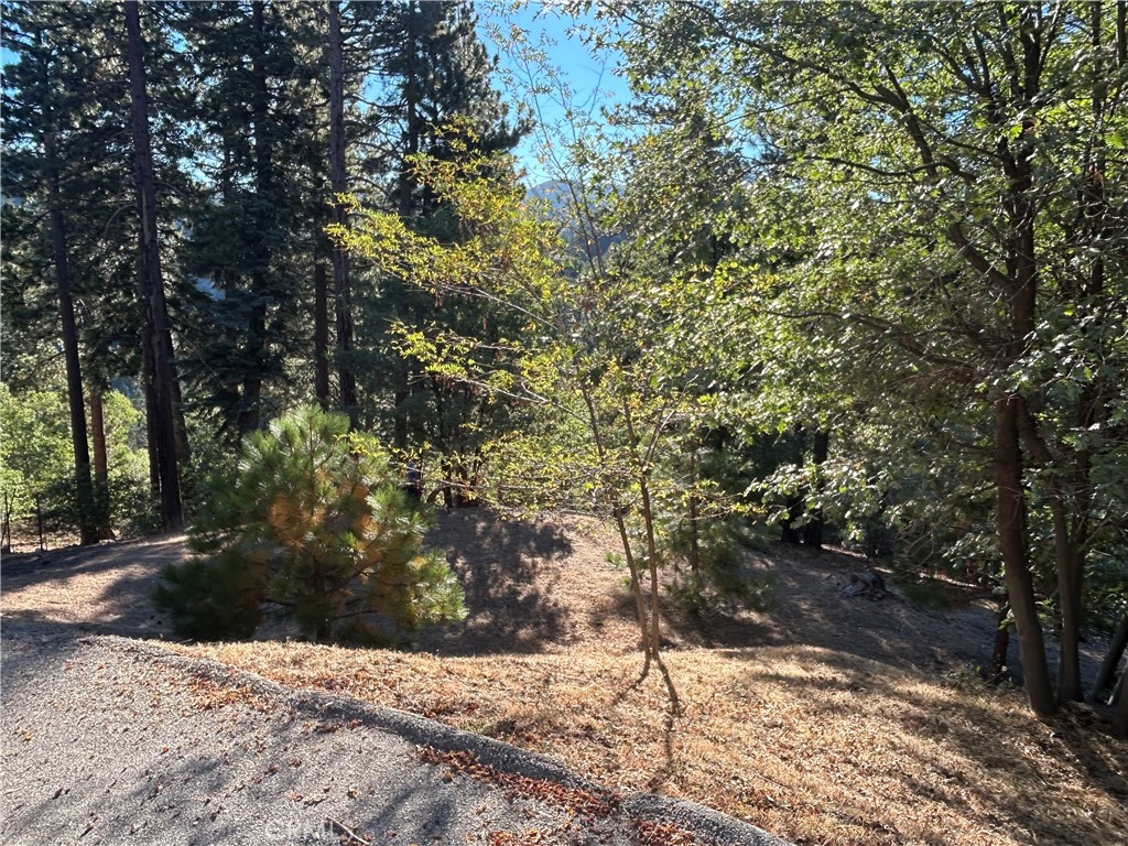 2335 Deep Creek Property Photo 3