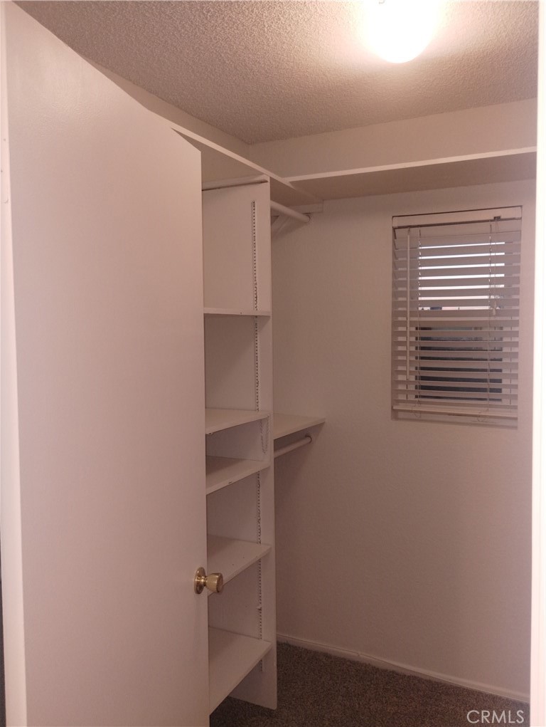 11981 Blackstone Court Property Photo 24