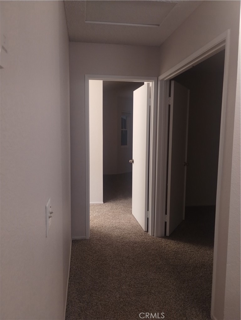 11981 Blackstone Court Property Photo 35