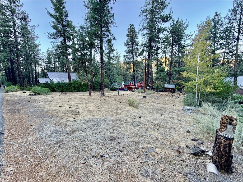 1322 Edna Property Photo 2
