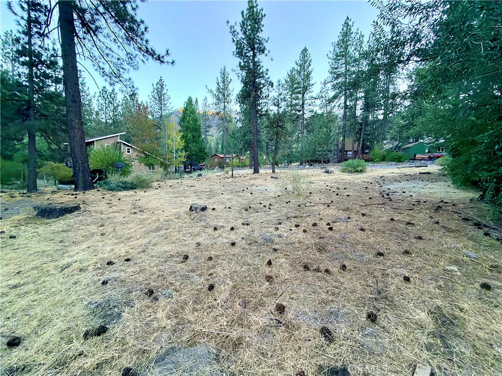1322 Edna Property Photo 3