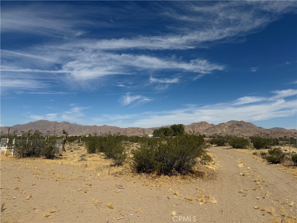 9705 Buena Vista Property Photo 2