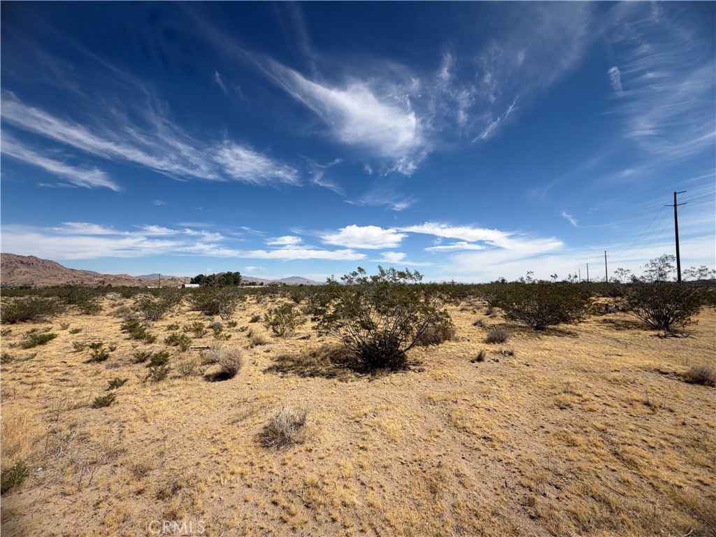 9705 Buena Vista Property Photo 3