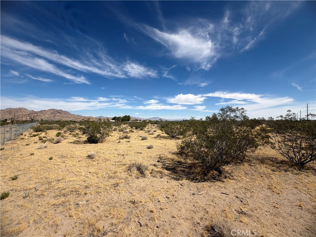 9705 Buena Vista Property Photo 4