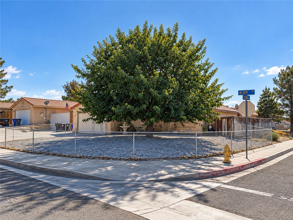 14378 Ivy Property Photo 2