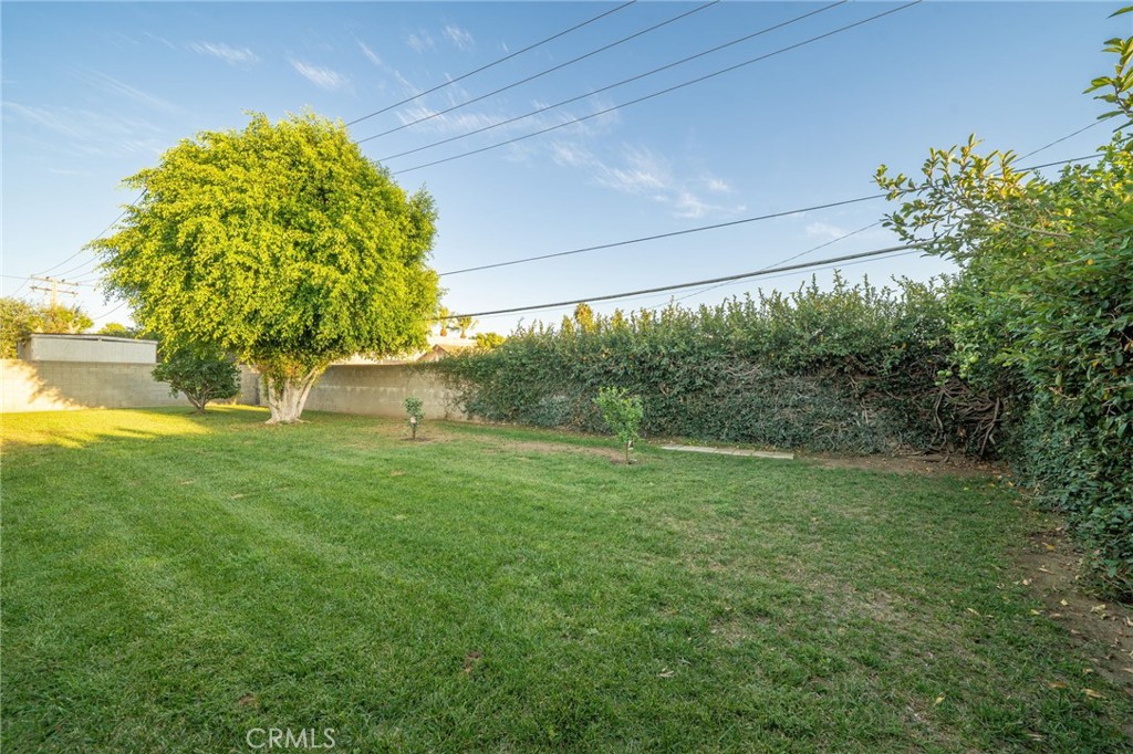 9785 Estacia Court Property Photo 23