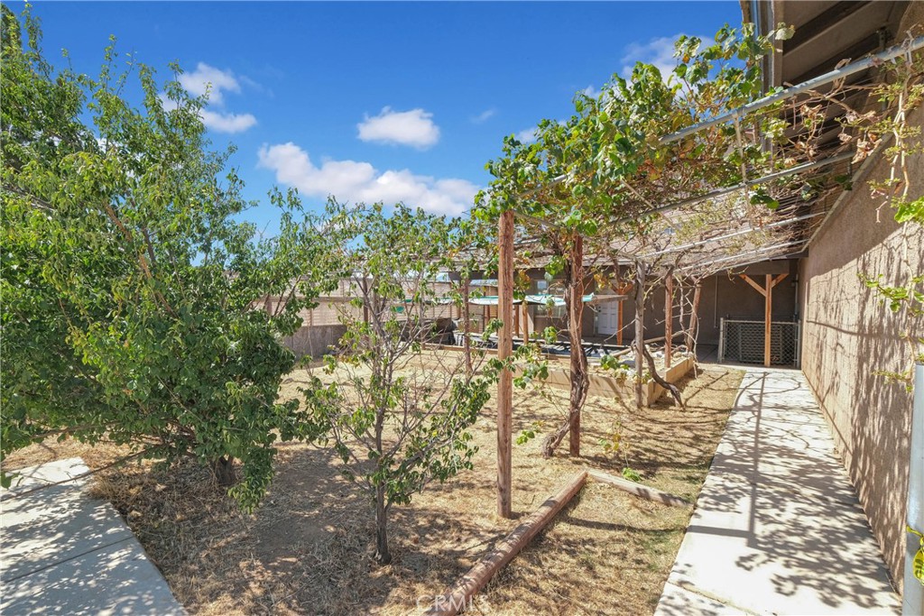 12771 Elm Property Photo 38