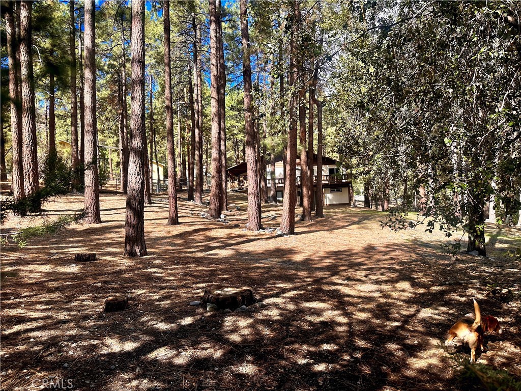 5809 Pine Street Property Photo 63