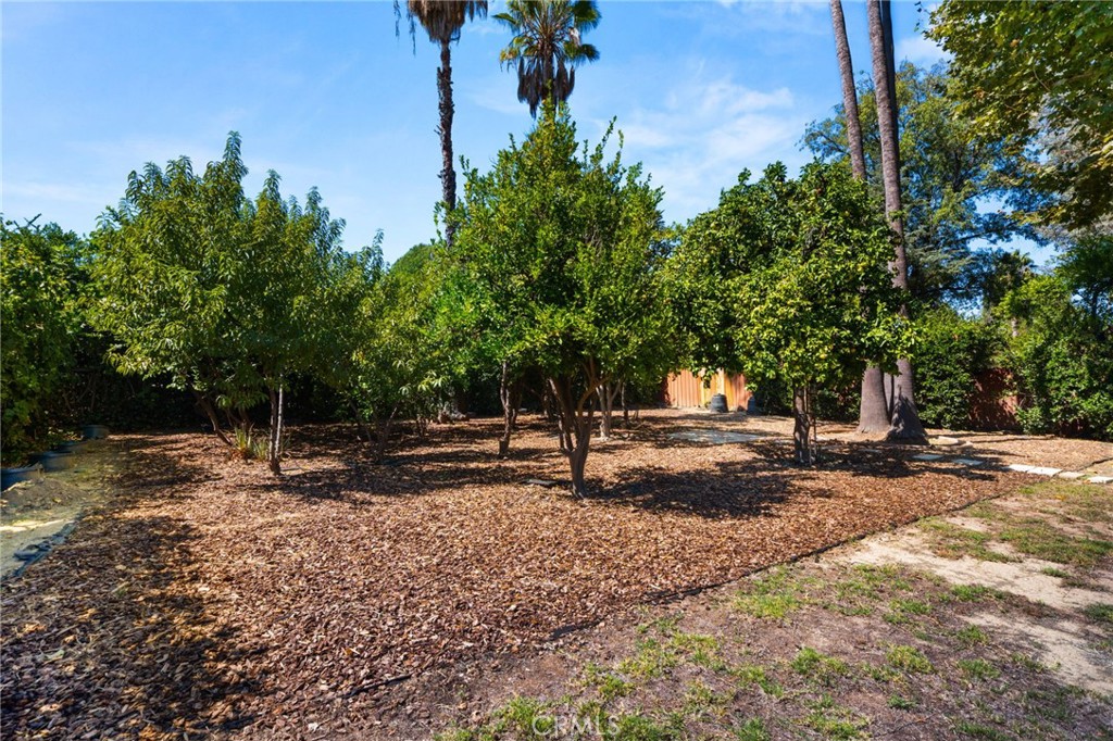 8847 White Oak Avenue Property Photo 48