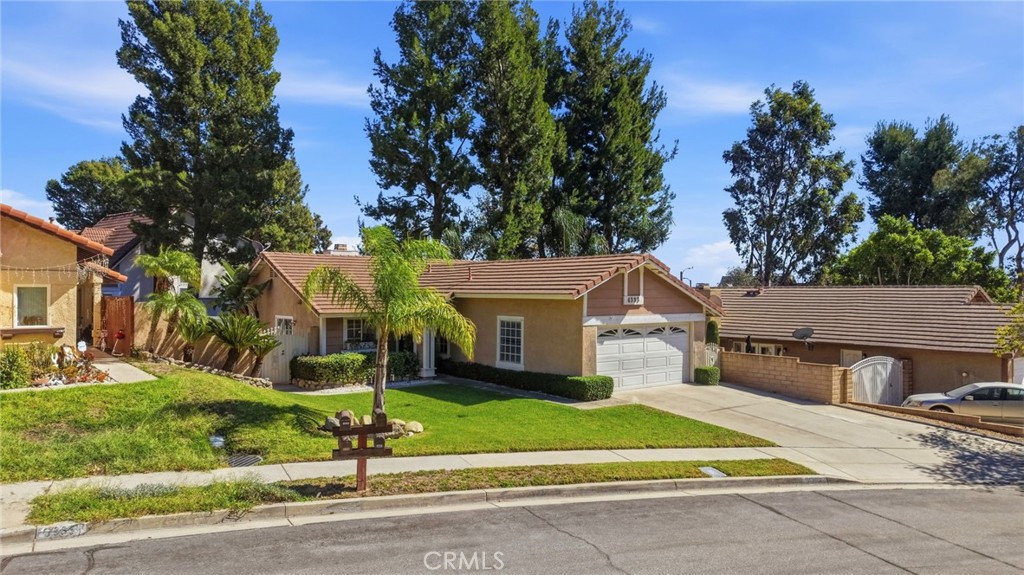 6393 Kettle Peak Place Property Photo 3