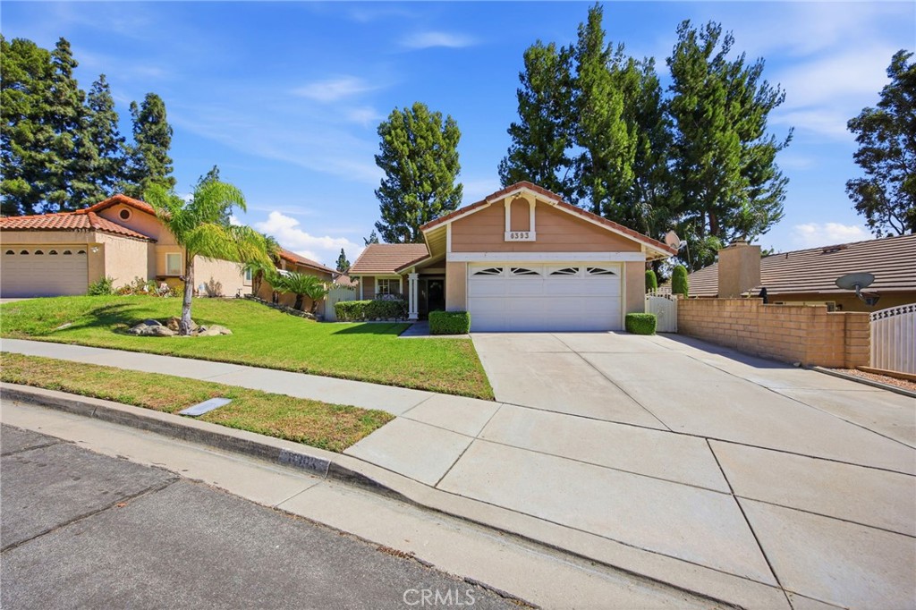 6393 Kettle Peak Place Property Photo 5