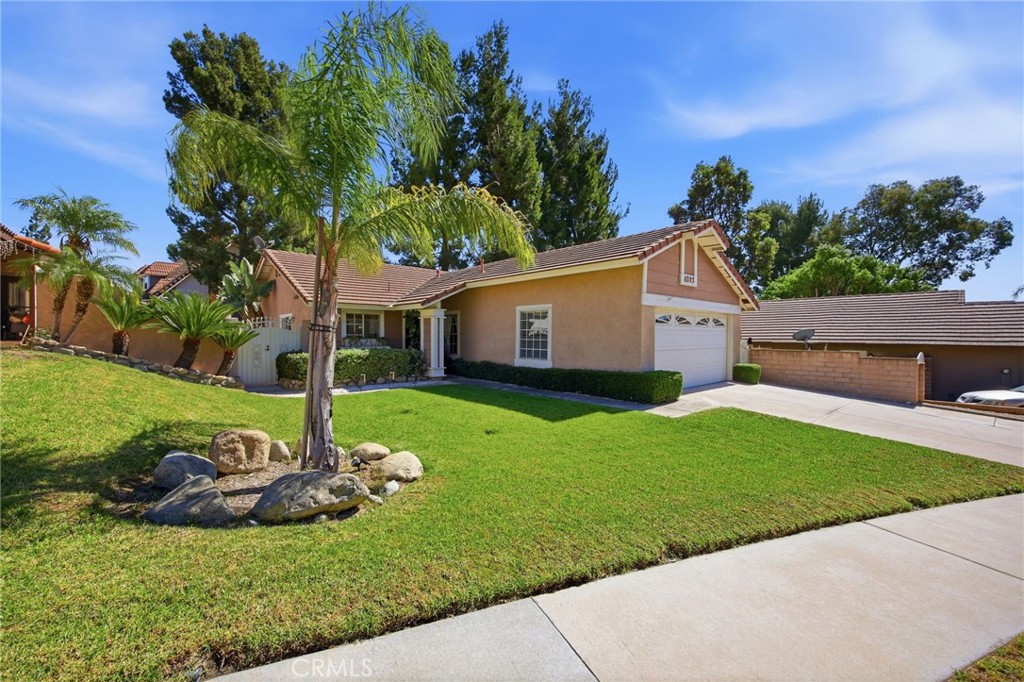 6393 Kettle Peak Place Property Photo 6