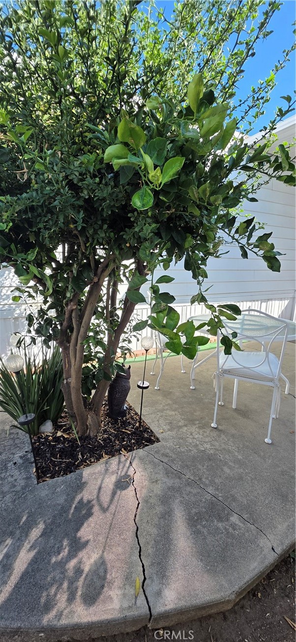 4095 Fruit 104 Property Photo 29