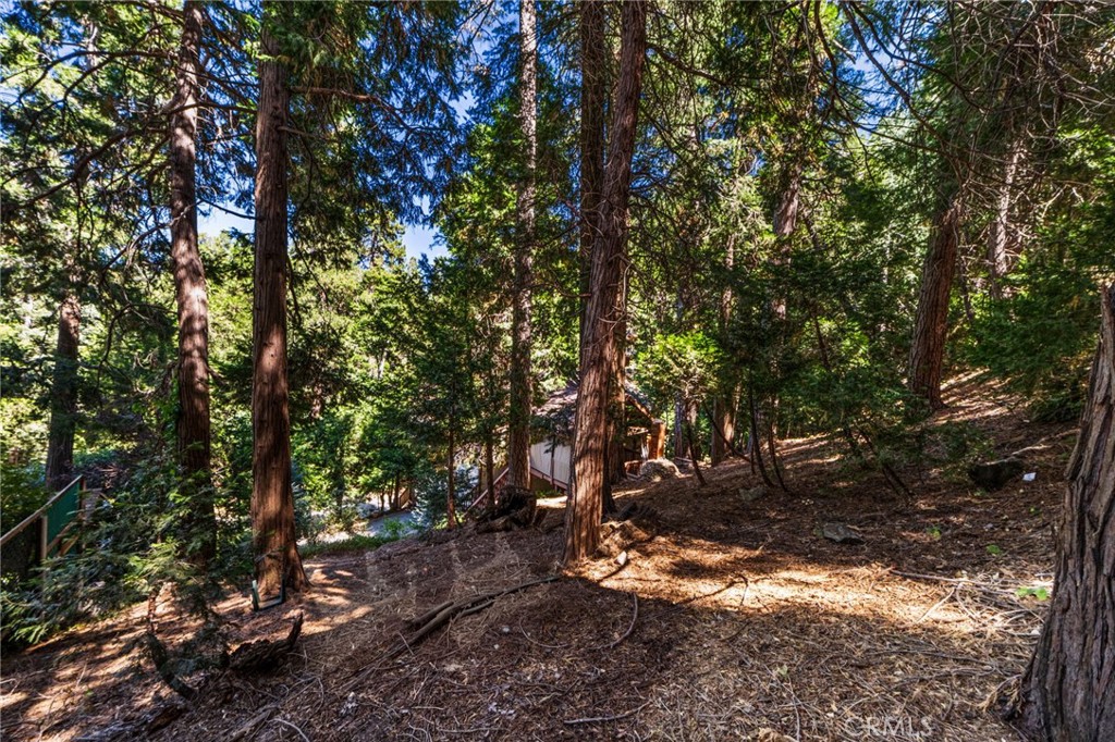 24599 Geneva Property Photo 37