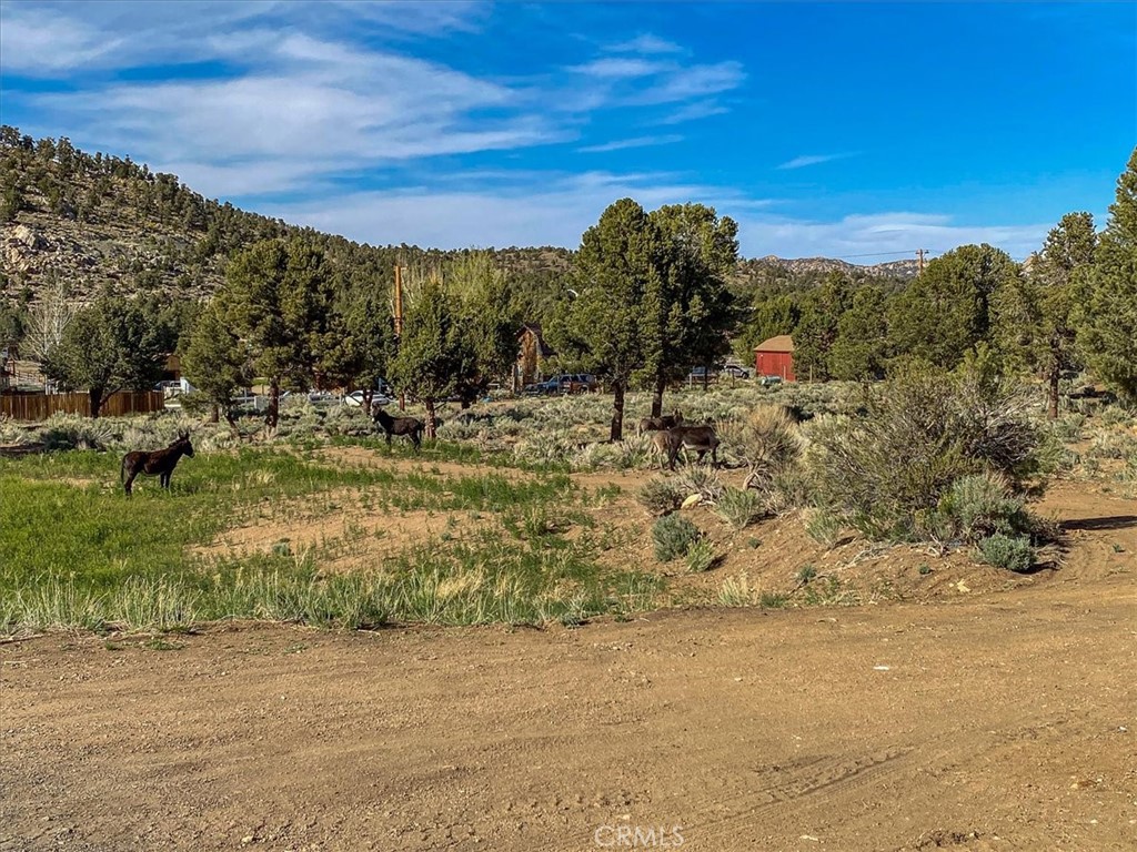 550 Eagle Ridge Rd Property Photo 8