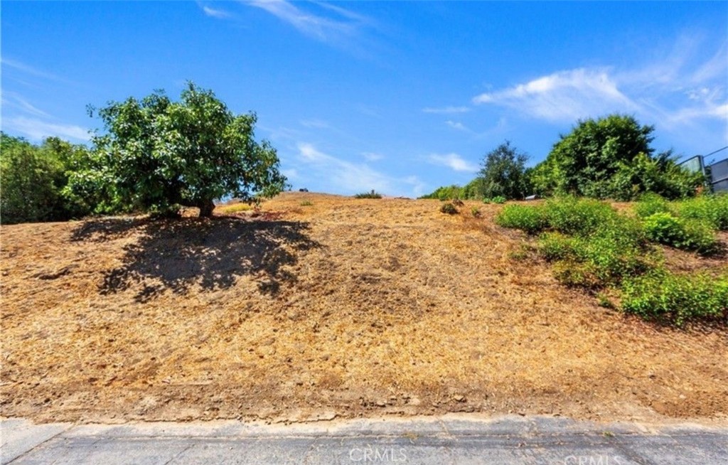 14838 Northview Terrace Property Photo 13