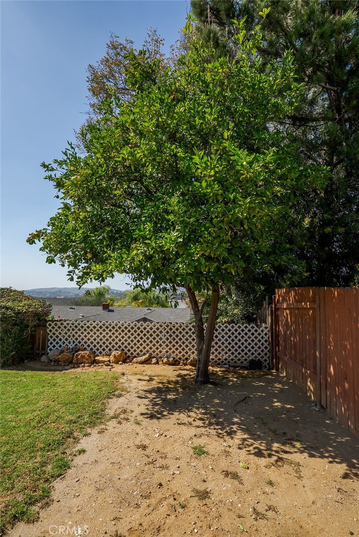 1029 Twin Canyon Property Photo 54