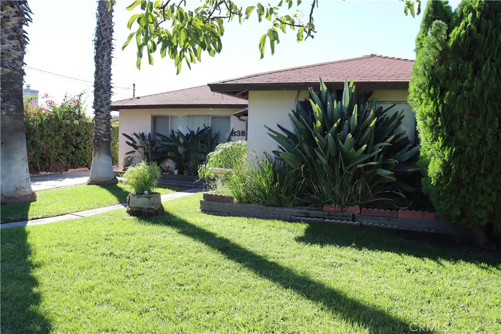 838 E G Property Photo 3