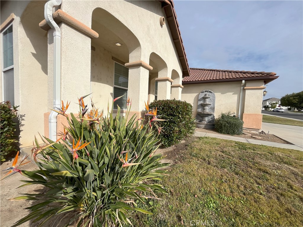 12758 Royal Palm Ln Property Photo 3