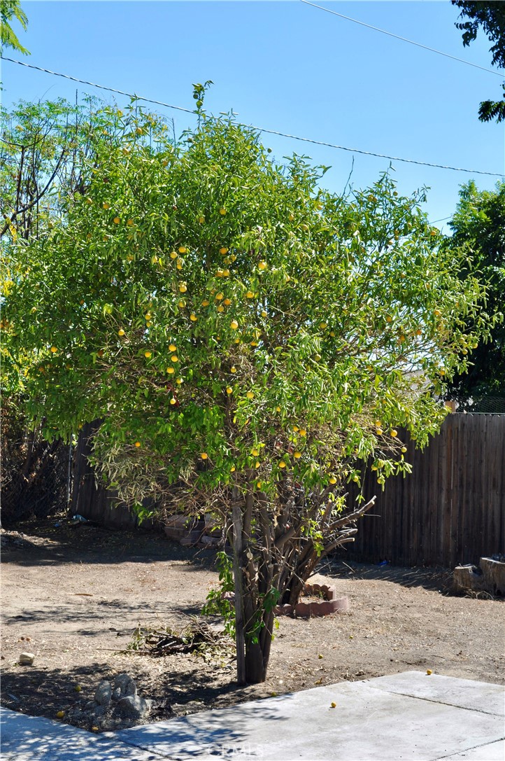 8181 Heather Property Photo 28