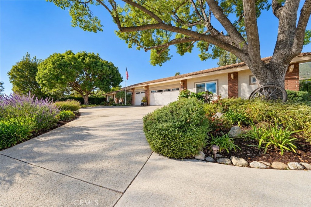 9780 Cinch Ring Property Photo 4