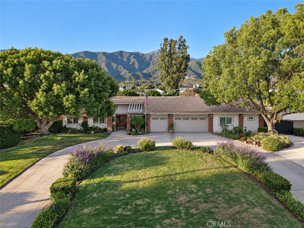 9780 Cinch Ring Property Photo 62