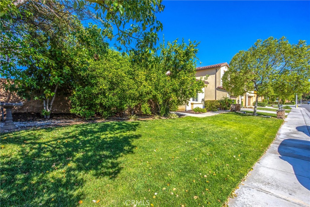 3020 Campania Terrace Property Photo 54
