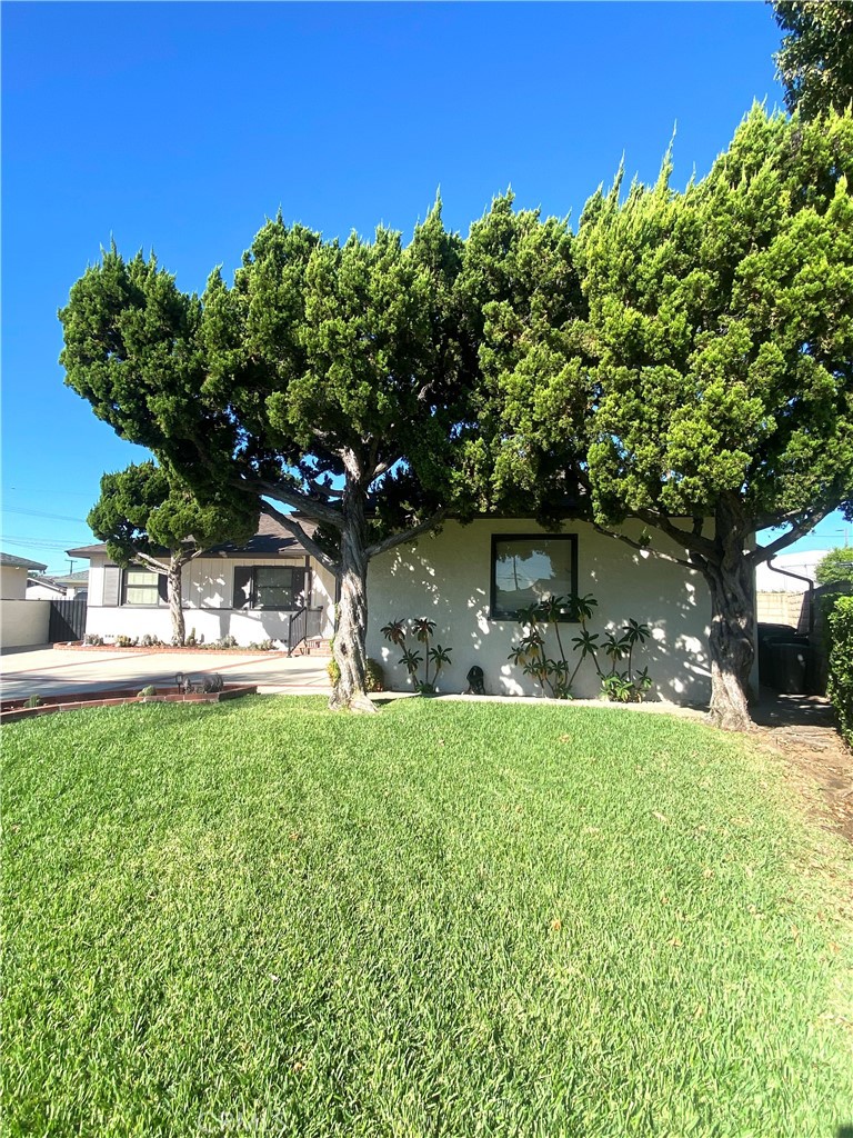 651 S Albertson Property Photo 24