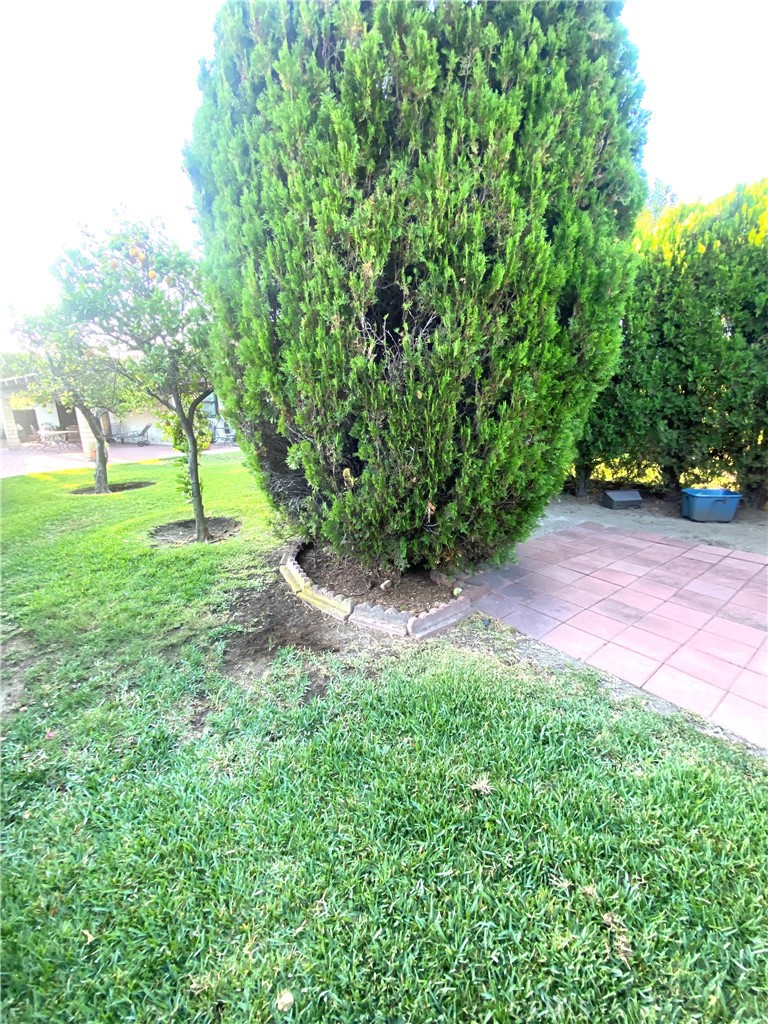 651 S Albertson Property Photo 30