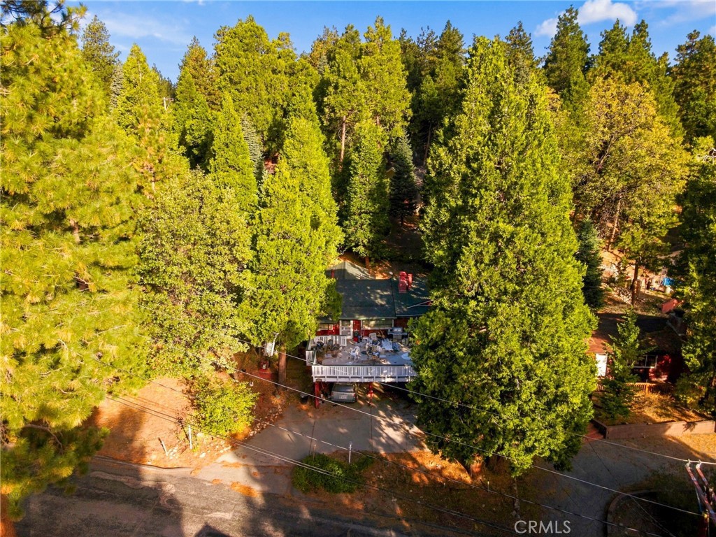 31136 Mountain Oak Drive Property Photo 14