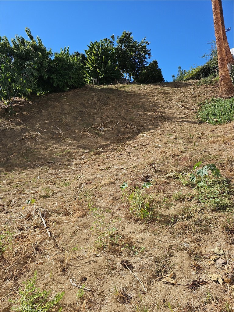 2286 Silver Ridge Avenue Property Photo 9