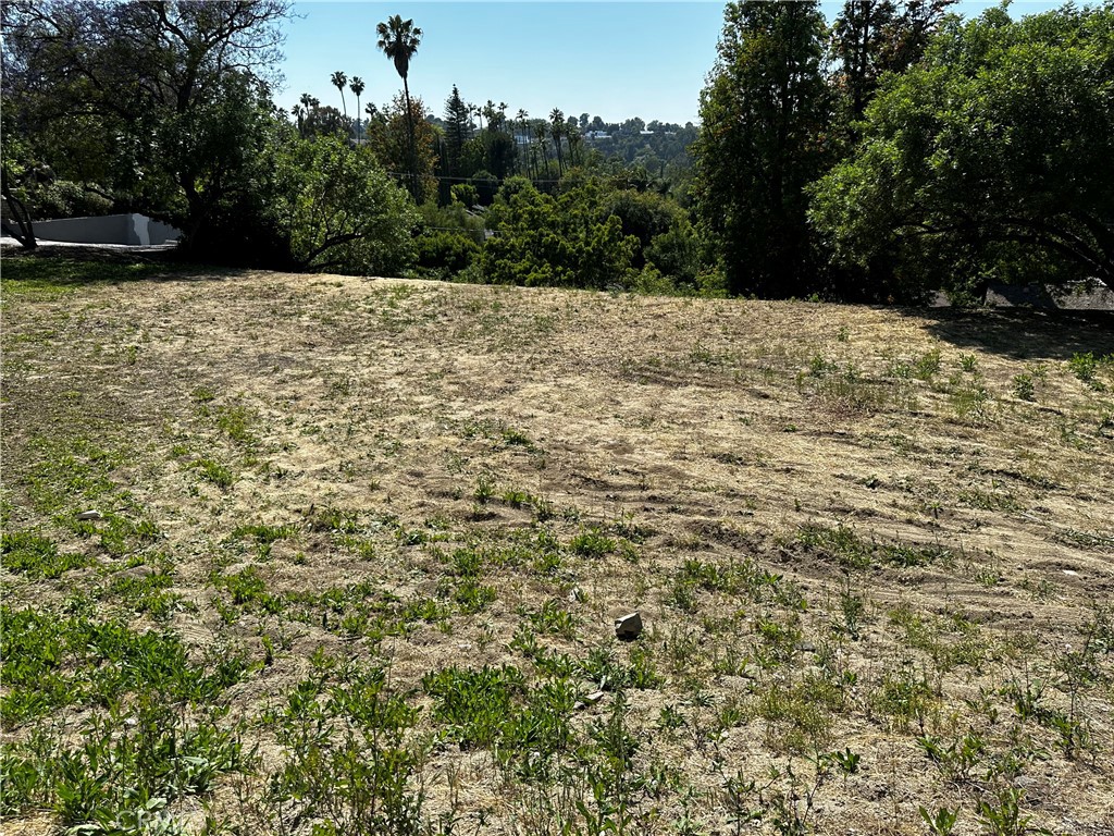 4632 Libbit Avenue Property Photo 5