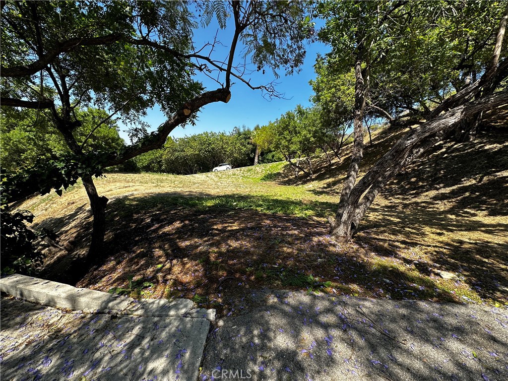 4632 Libbit Avenue Property Photo 11