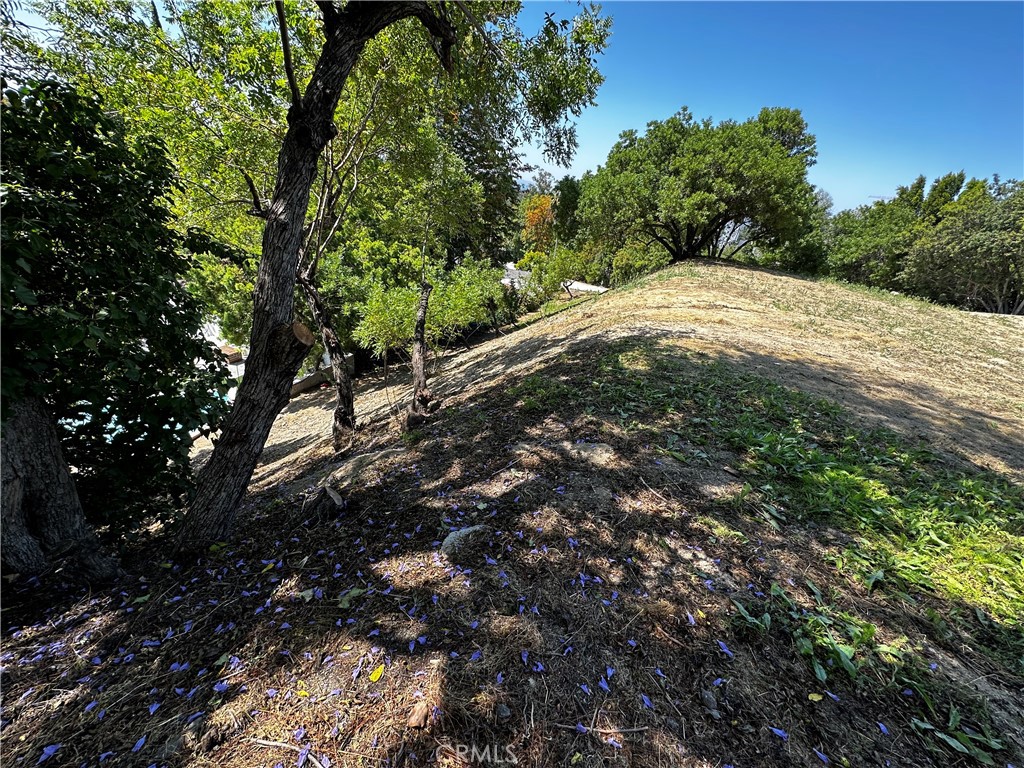 4632 Libbit Avenue Property Photo 12