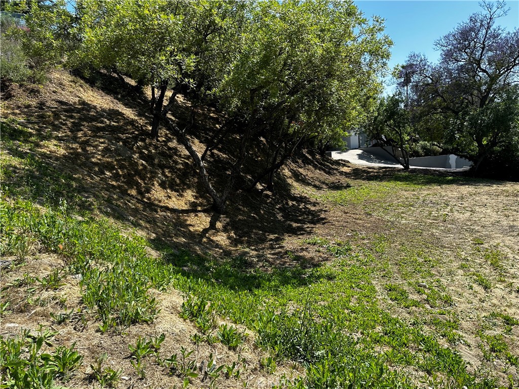 4632 Libbit Avenue Property Photo 15