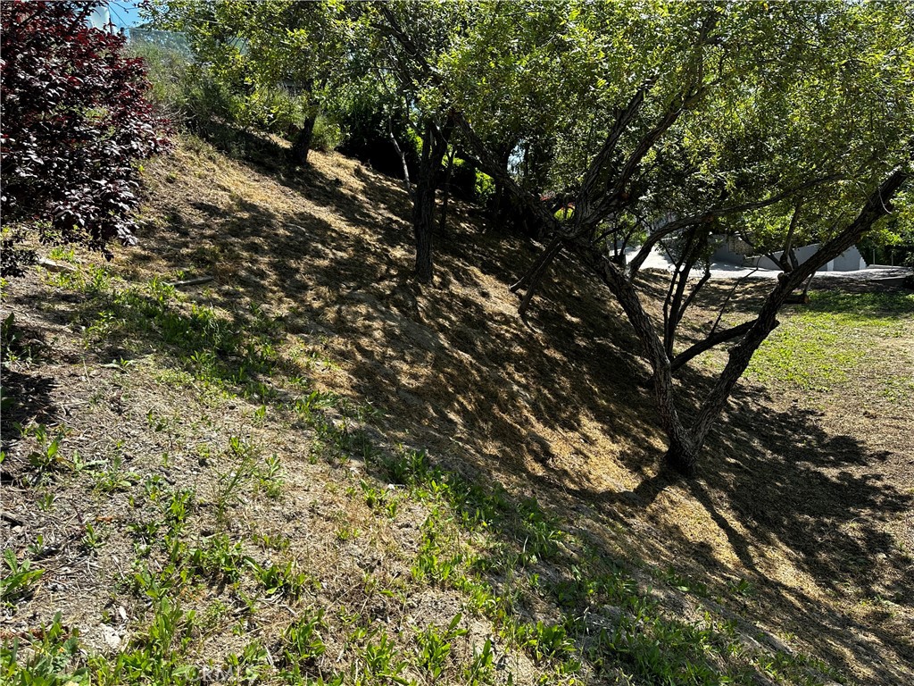 4632 Libbit Avenue Property Photo 18