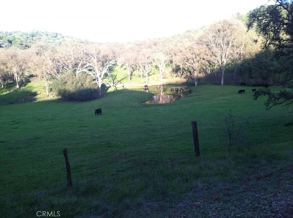 35294 Ruth Hill Road Property Photo 7