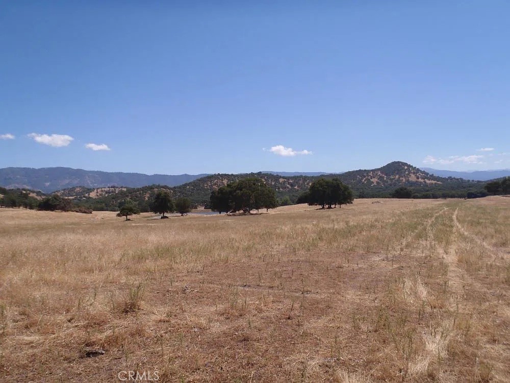 35294 Ruth Hill Road Property Photo 12