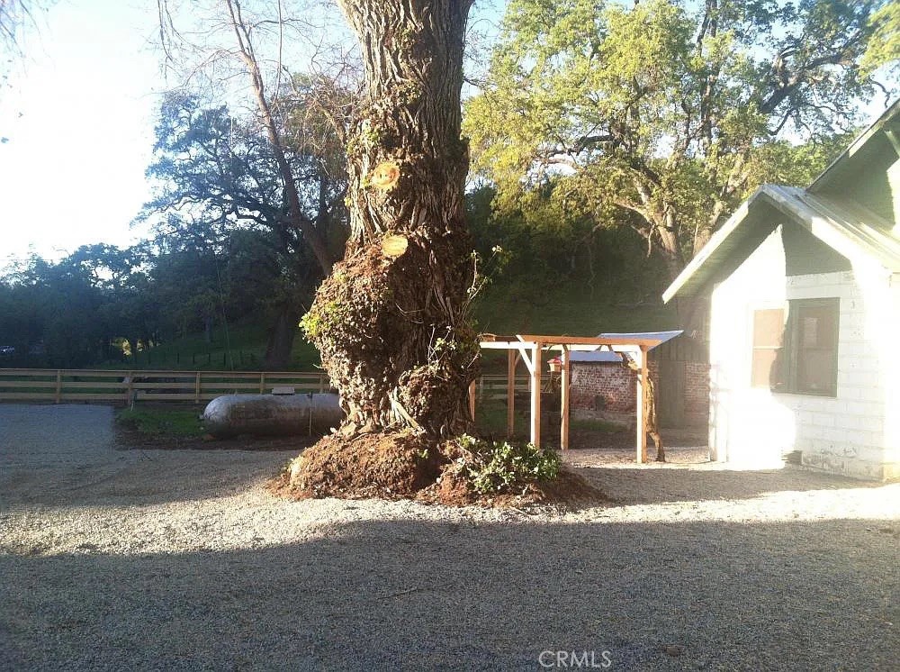 35294 Ruth Hill Road Property Photo 15