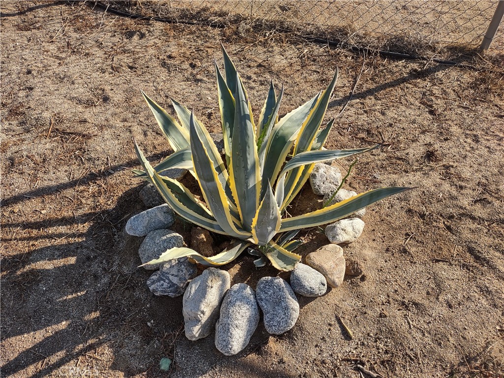 22060 Caballeros Canyon Property Photo 34