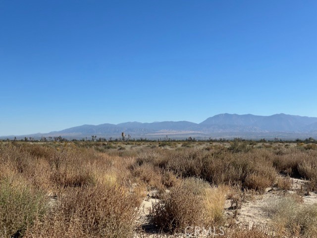 0 E Palmdale Boulevard Property Photo 4