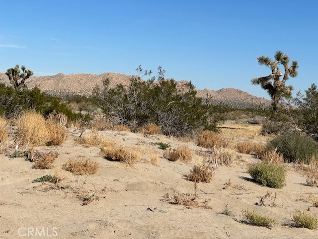 0 E Palmdale Boulevard Property Photo 5