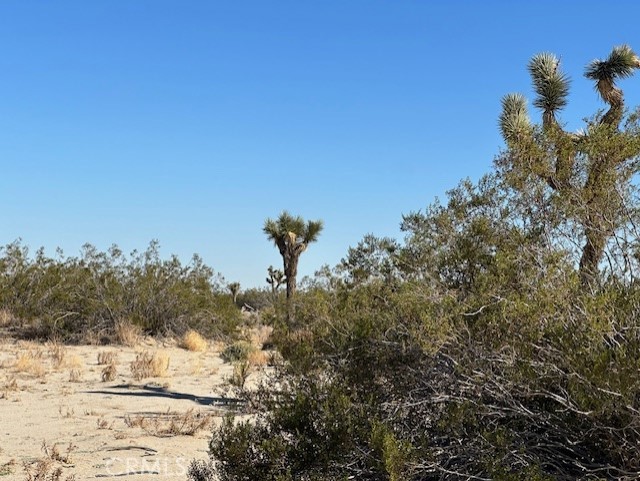0 E Palmdale Boulevard Property Photo 6