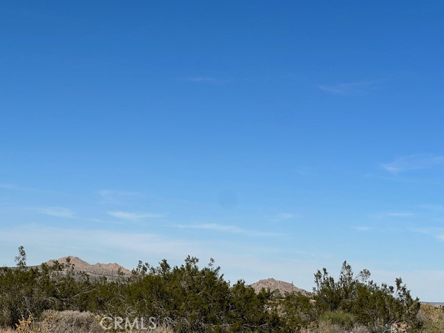 0 E Palmdale Boulevard Property Photo 11